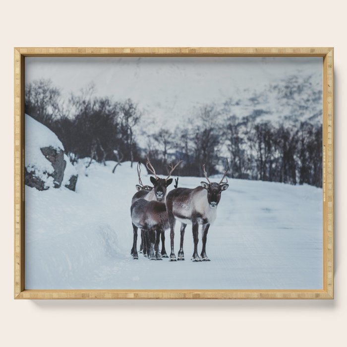 Hitch-hikers - Landscape and Nature Photography Serving Tray Gallery Image 1