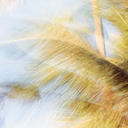 Tropicalia Coffee Mug Gallery Image 2