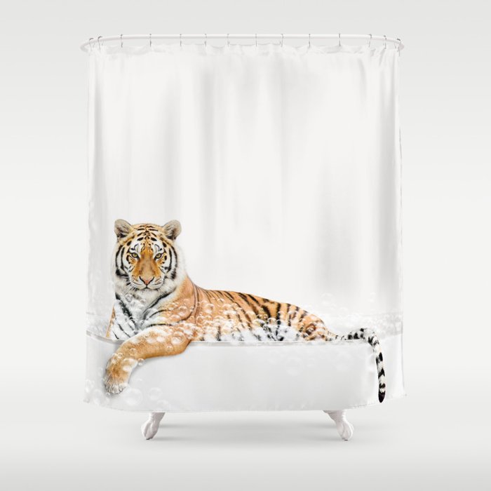 Tiger in a Bathtub, Tiger Taking a Bath, Tiger Bathing, Whimsy Animal Art Print By Synplus Shower Curtain Gallery Image 1