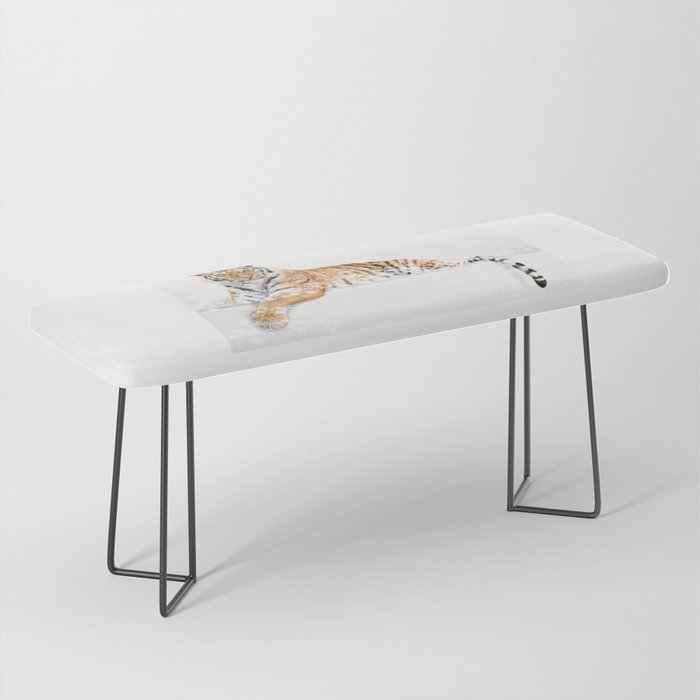 Tiger in a Bathtub, Tiger Taking a Bath, Tiger Bathing, Whimsy Animal Art Print By Synplus Bench Gallery Image 1