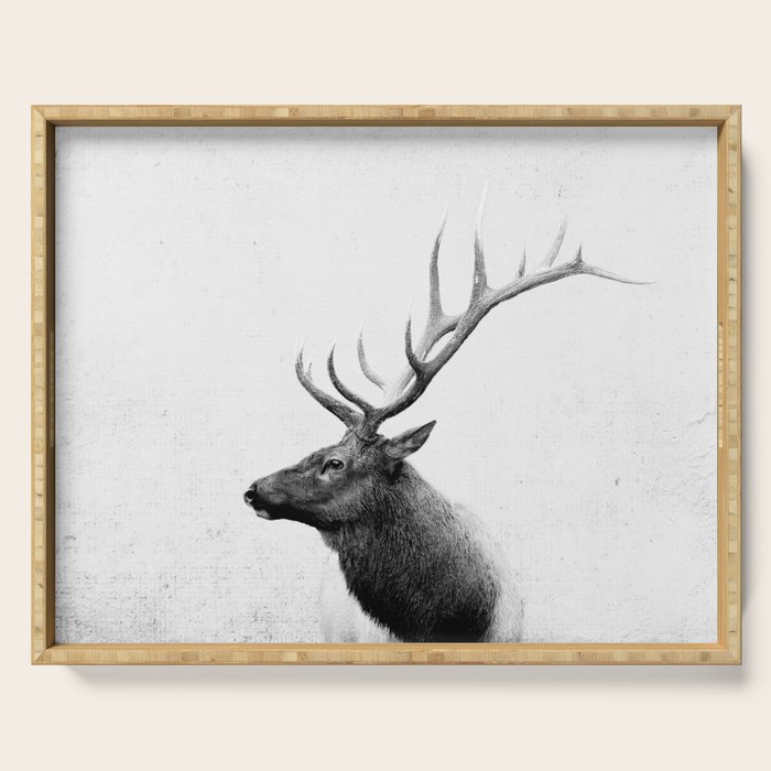 Bull Elk  Black and White Wildlife Photography Serving Tray Gallery Image 1