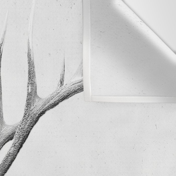 Bull Elk  Black and White Wildlife Photography Wall Tapestry Gallery Image 3