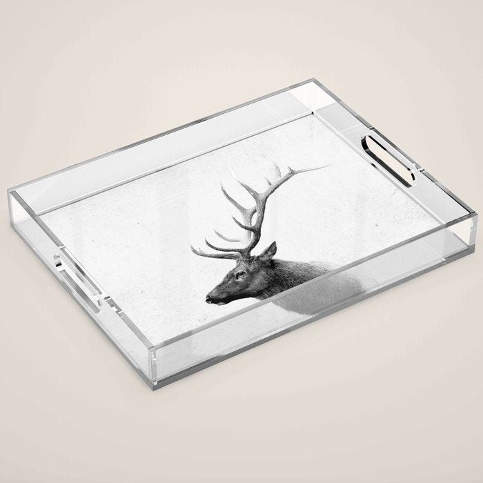 Bull Elk  Black and White Wildlife Photography Acrylic Tray Gallery Image 1
