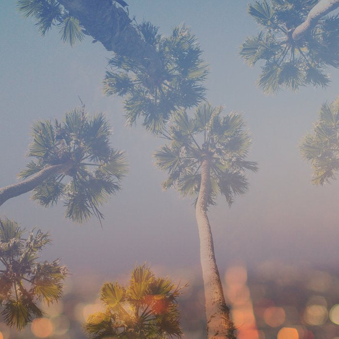 Postcard from L.A. Coffee Mug Gallery Image 2