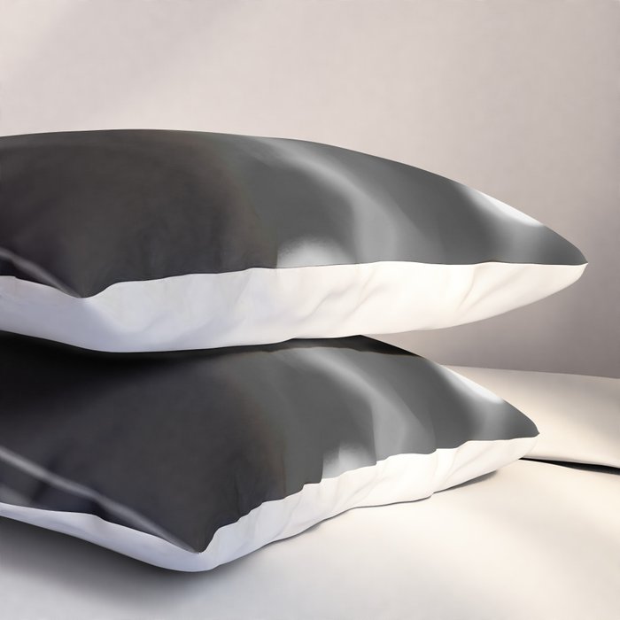 dj turntable record music aesthetic close up elegant mood art photography  Pillow Sham Gallery Image 3