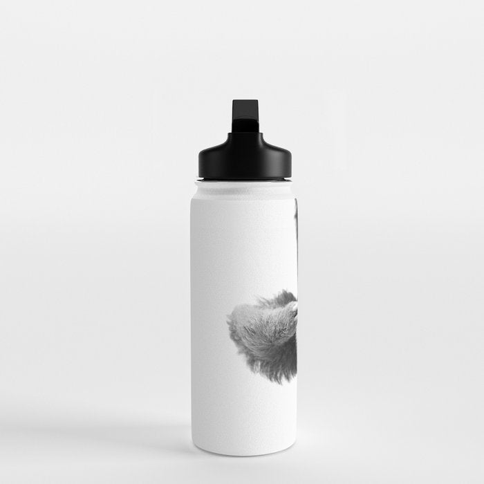 Sloth Water Bottle Gallery Image 3