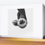 Sloth Wall Mural Gallery Image 2