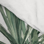 Desert Botanicals Comforter Gallery Image 4