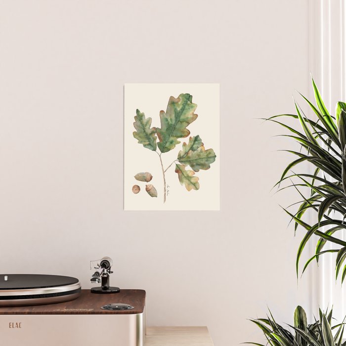 Oak tree  green leaves  Poster Gallery Image 2