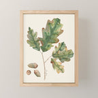 Oak tree  green leaves  Mini Art Print Gallery Image 1