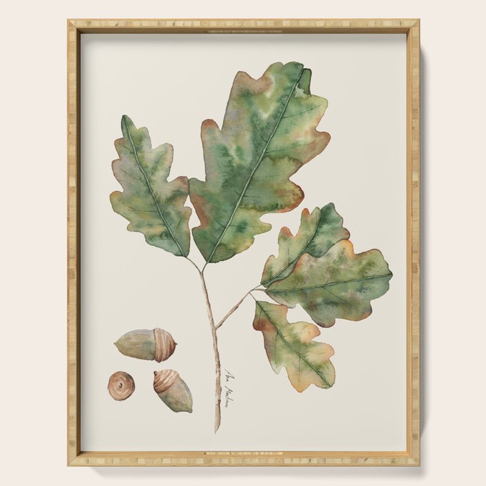 Oak tree  green leaves  Serving Tray Gallery Image 1