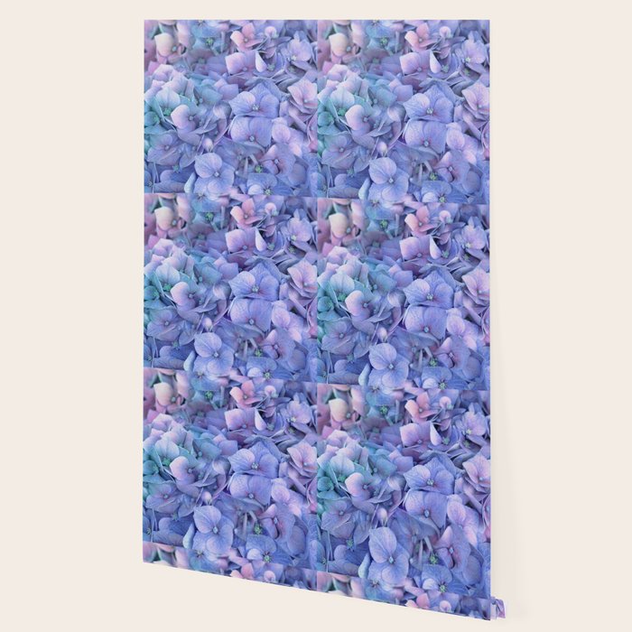Hydrangea Wallpaper Gallery Image 2