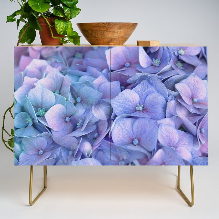 Hydrangea Credenza Gallery Image 1