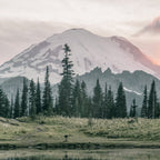 Mount Rainier Washington Coffee Mug Gallery Image 2