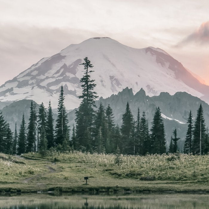 Mount Rainier Washington Coffee Mug Gallery Image 2