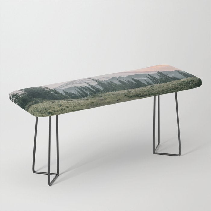 Mount Rainier Washington Bench Gallery Image 1
