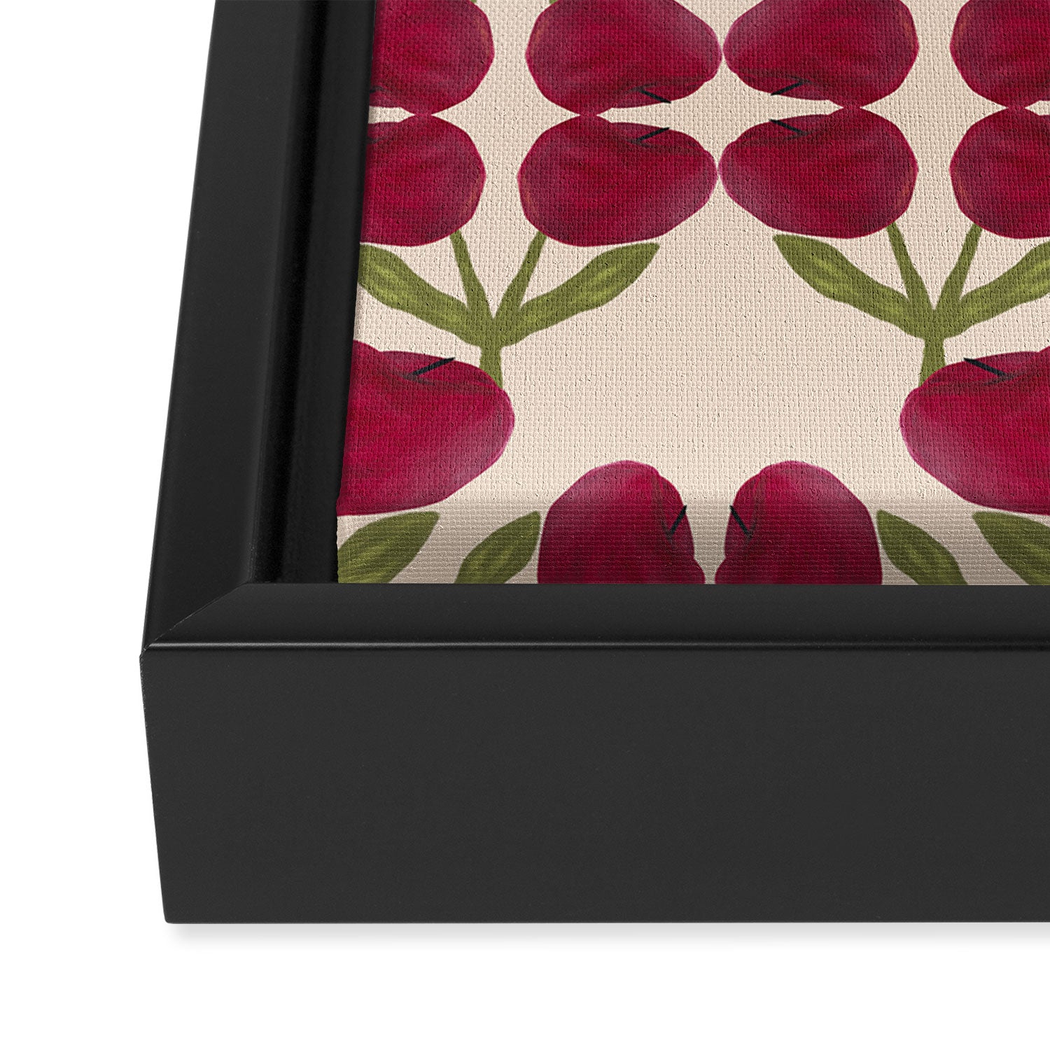 Dulce Florecer Framed Canvas Print Gallery Image 3