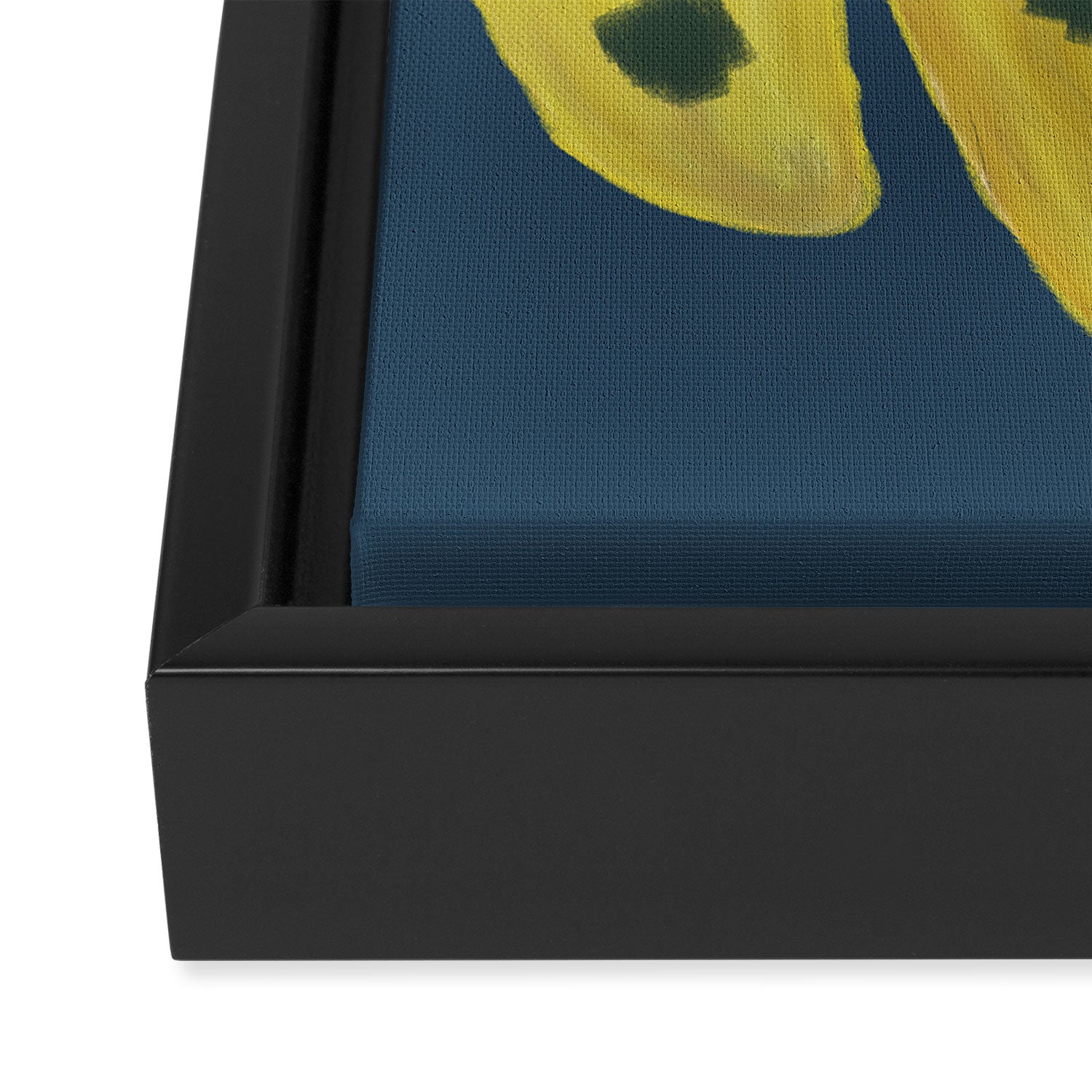Tropical Framed Canvas Print Gallery Image 3