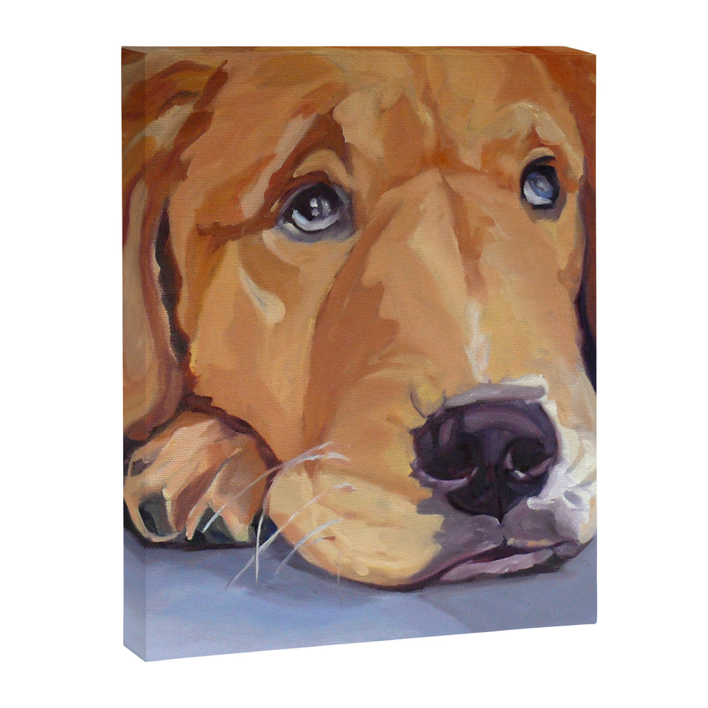 Golden Retriever Dog Portrait Canvas Print Gallery Image 8