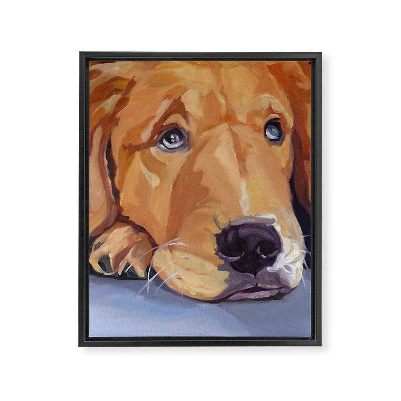 Golden Retriever Dog Portrait Framed Canvas Print Gallery Image 8