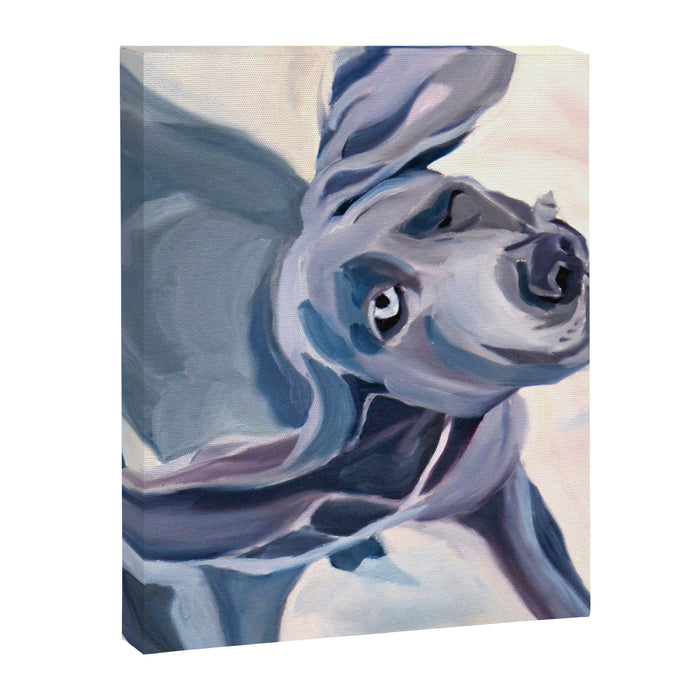Great Dane Dog Shake Canvas Print Gallery Image 1