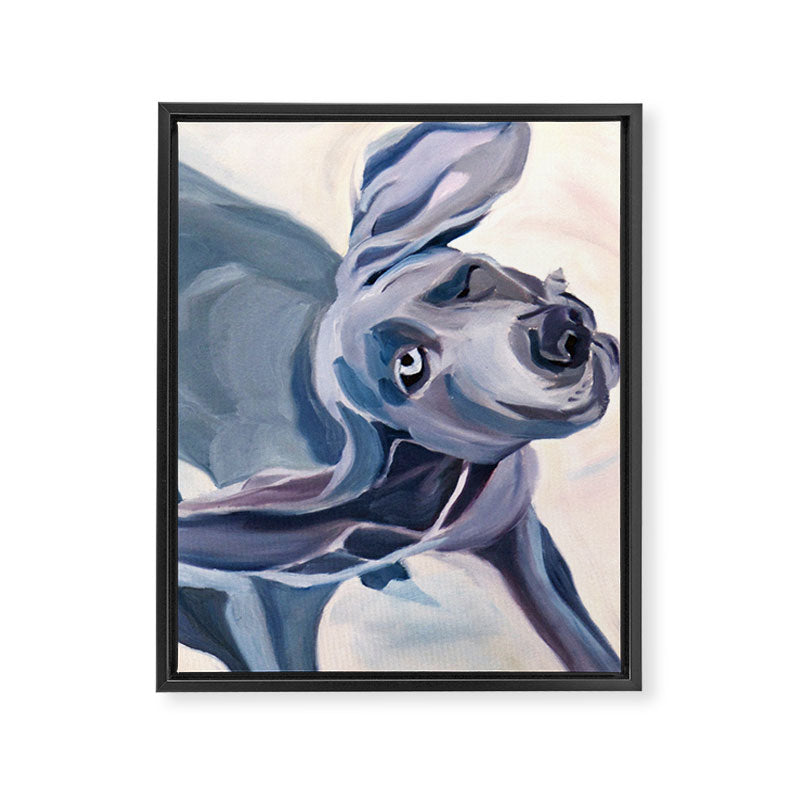 Great Dane Dog Shake Framed Canvas Print Gallery Image 6