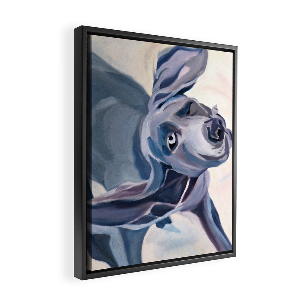 Great Dane Dog Shake Framed Canvas Print Gallery Image 2