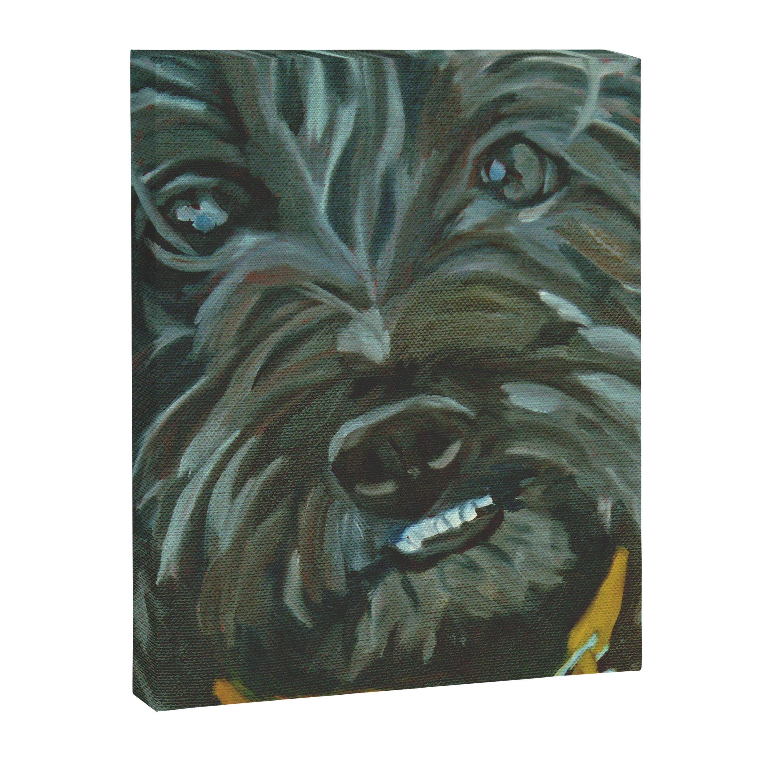 Otis the Wonder Dog Canvas Print Gallery Image 8