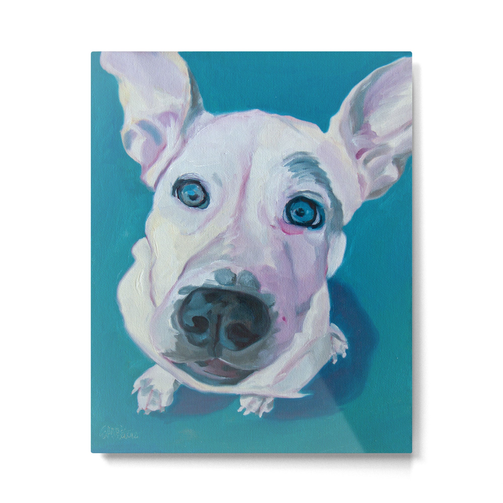 Patches o'Houlihan Dog Portrait Metal Print Gallery Image 6