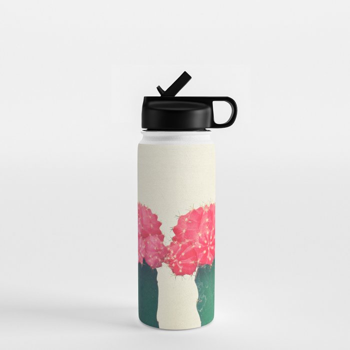 Plaid Cacti Water Bottle Gallery Image 1