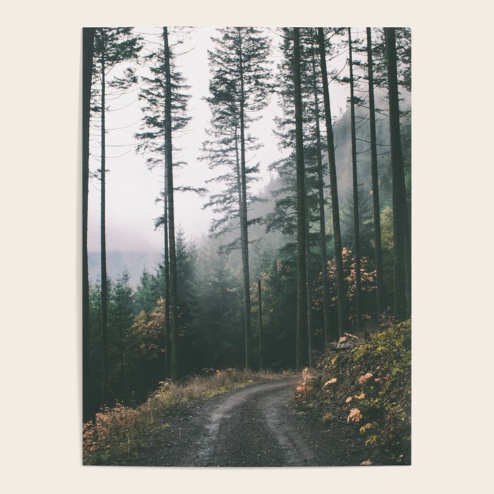 Forest Drive Poster Gallery Image 4