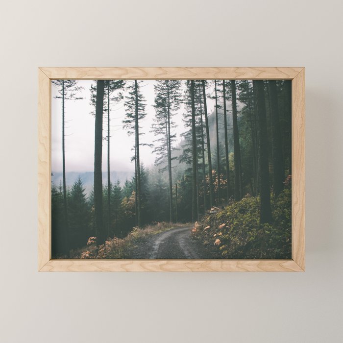Forest Drive Mini Art Print Gallery Image 1