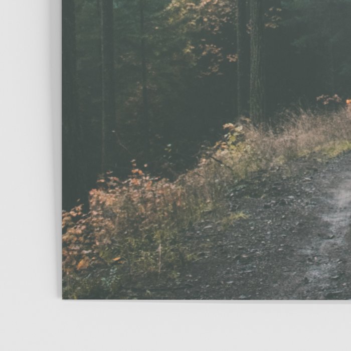 Forest Drive Poster Gallery Image 3