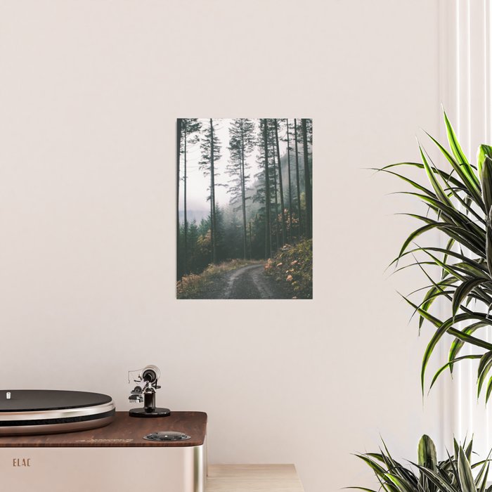 Forest Drive Poster Gallery Image 2