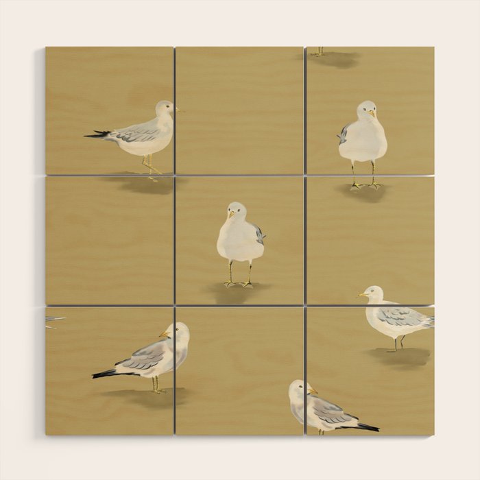 Coastal Seagulls  Wood Wall Art Gallery Image 1