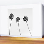 Black + White Palm Trees Wall Mural Gallery Image 2
