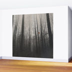 INTO THE WILD XIV Wall Mural Gallery Image 2