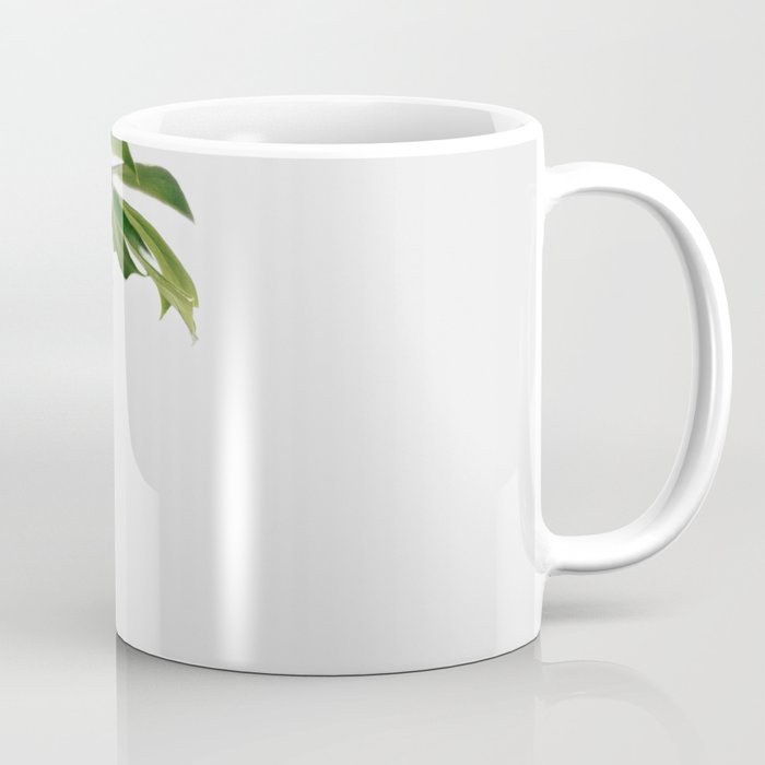 Single Monstera Leaf In Clear Glass Zen Minimalist House Plant Photo Coffee Mug Gallery Image 1