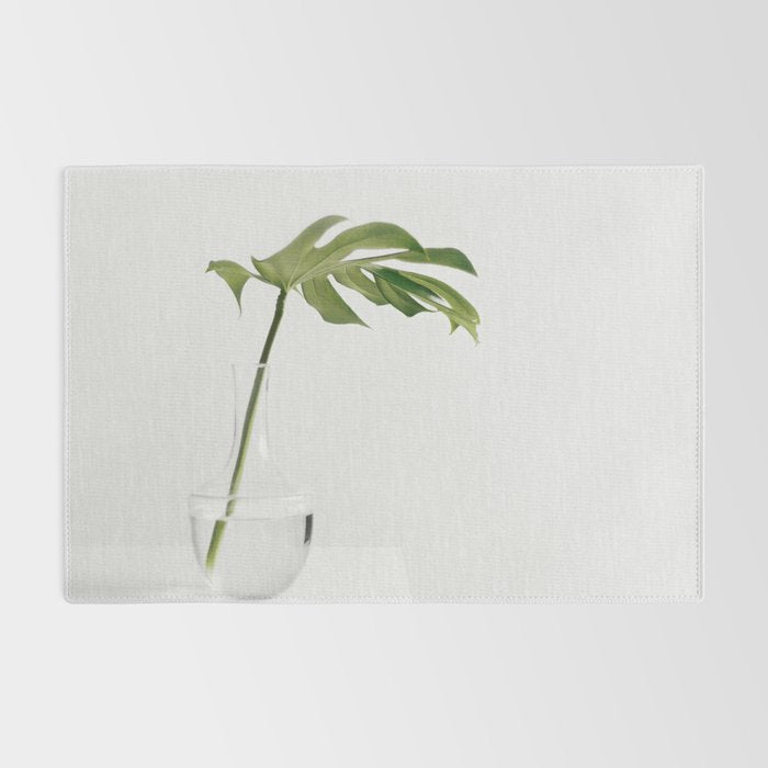 Single Monstera Leaf In Clear Glass Zen Minimalist House Plant Photo Rug Gallery Image 2