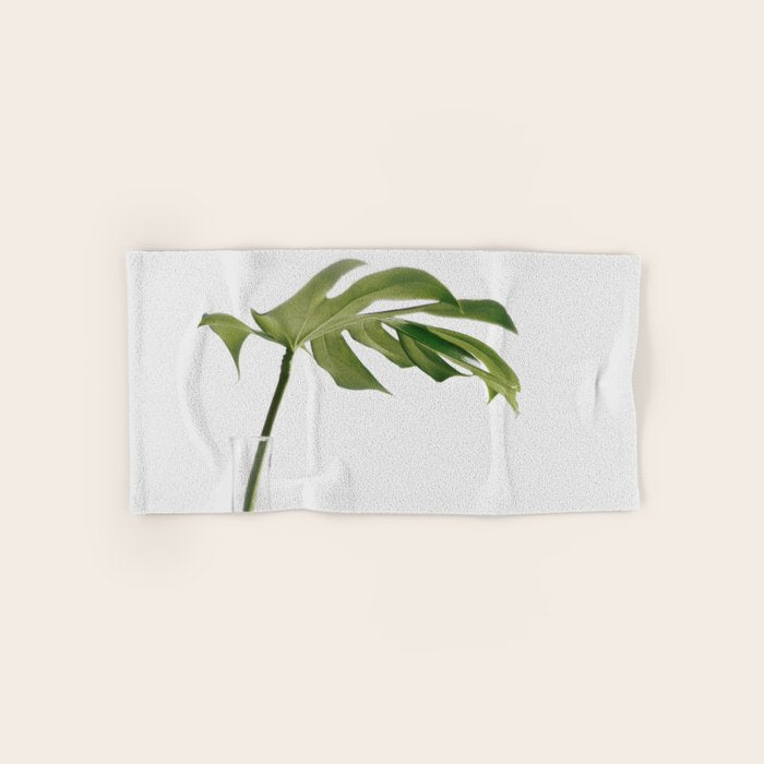 Single Monstera Leaf In Clear Glass Zen Minimalist House Plant Photo Towels Gallery Image 1