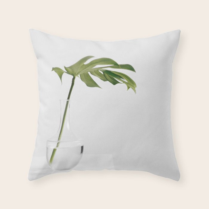 Single Monstera Leaf In Clear Glass Zen Minimalist House Plant Photo Throw Pillow Gallery Image 6