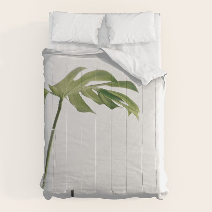 Single Monstera Leaf In Clear Glass Zen Minimalist House Plant Photo Comforter Gallery Image 1
