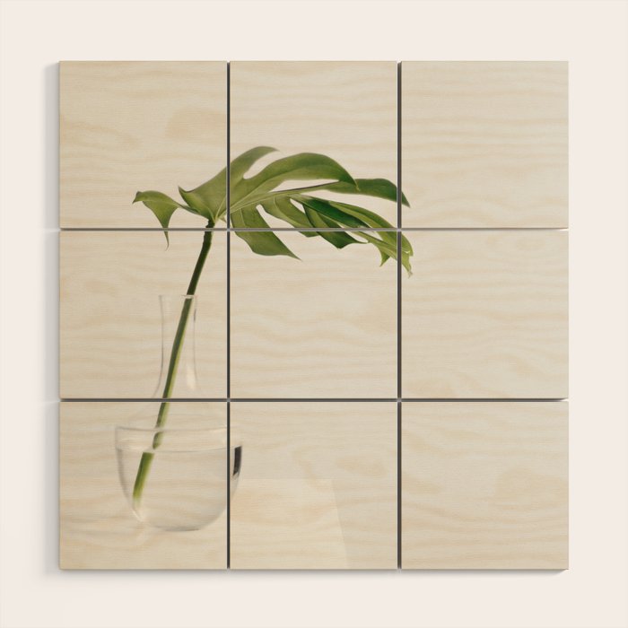 Single Monstera Leaf In Clear Glass Zen Minimalist House Plant Photo Wood Wall Art Gallery Image 1
