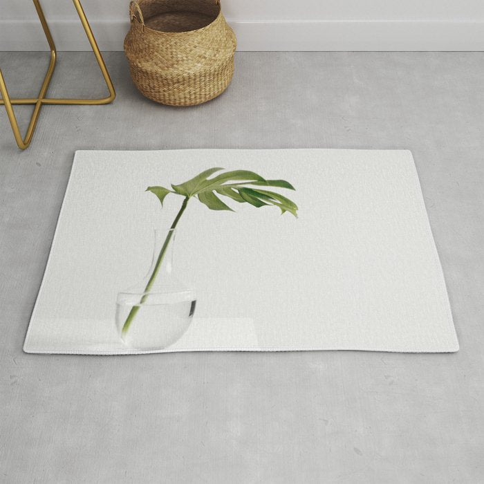 Single Monstera Leaf In Clear Glass Zen Minimalist House Plant Photo Rug Gallery Image 1