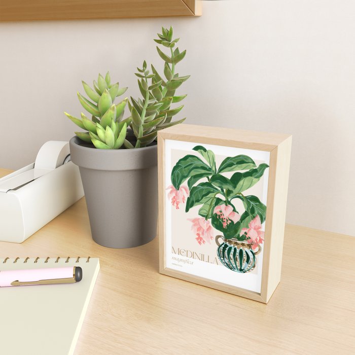 Medinilla Magnifica Mini Art Print Gallery Image 2