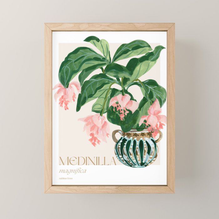 Medinilla Magnifica Mini Art Print Gallery Image 1
