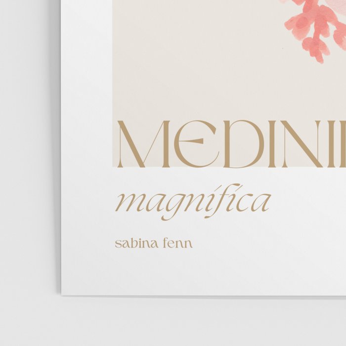 Medinilla Magnifica Poster Gallery Image 3