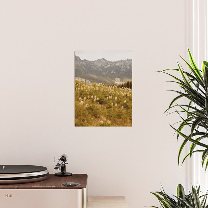 Truffula Trees Poster Gallery Image 2
