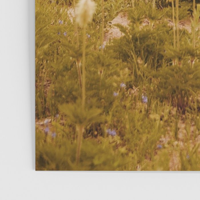 Truffula Trees Poster Gallery Image 3