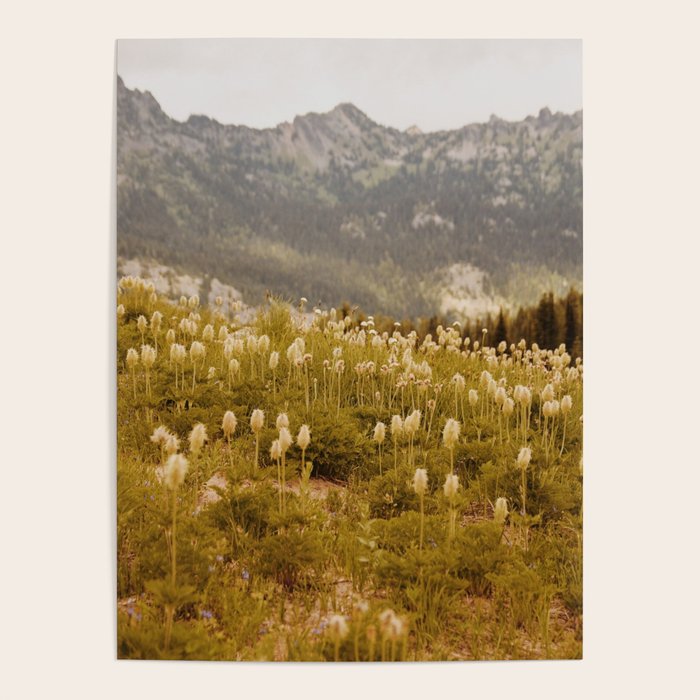 Truffula Trees Poster Gallery Image 1